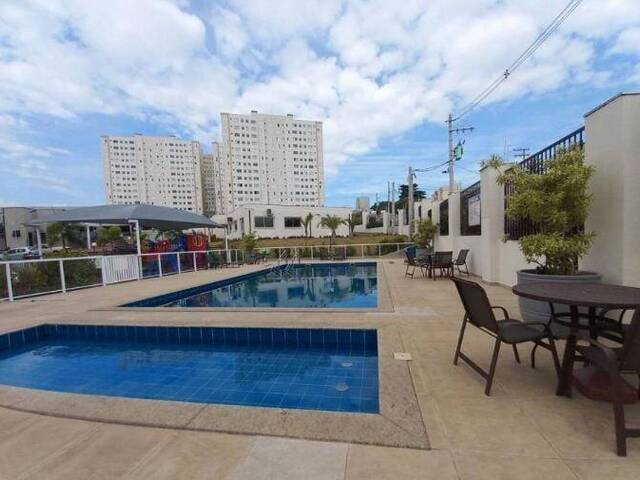 #242 - Apartamento para Venda em Campinas - SP - 2